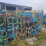 A pile of lobster traps seized by authorities