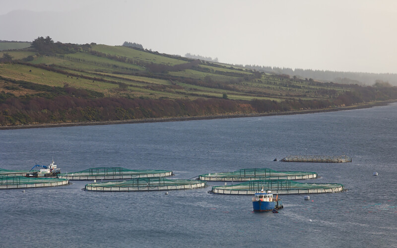 A fish farm in Donegal, Ireland