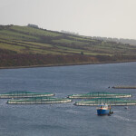 A fish farm in Donegal, Ireland
