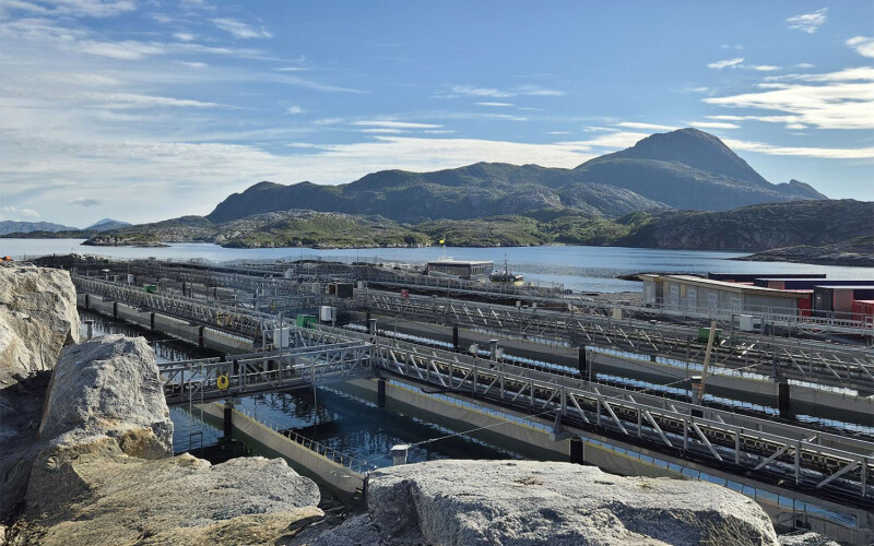 A photo of Gigante Salmon's salmon farming facility