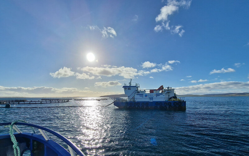 A Scottish Sea Farms salmon farm in Scotland