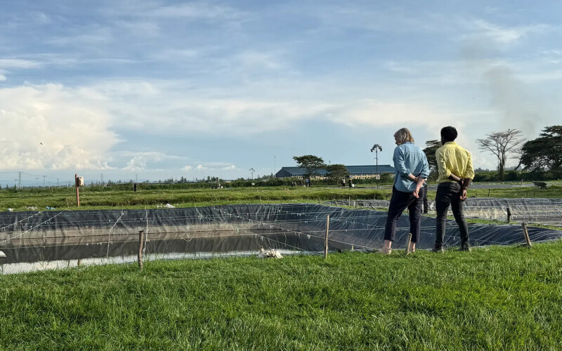 Two individuals overlooking an aquaculture operation in Africa