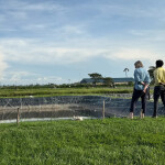 Two individuals overlooking an aquaculture operation in Africa