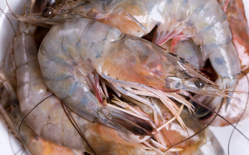 Louisiana shrimp