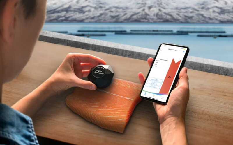 A person using dsm-firmenich's Digital SalmoFan