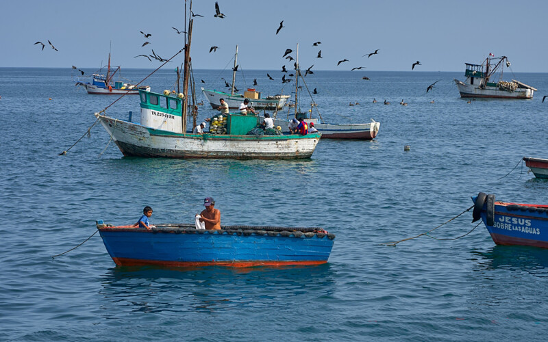 Fishing vessels in Peru