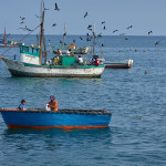 Fishing vessels in Peru