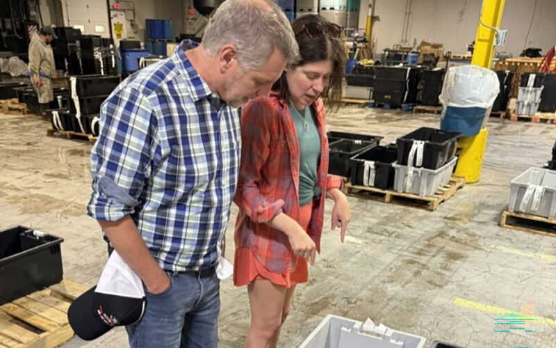 Mike Illenberg, acting director of the USDA Office of Seafood, discusses groundfish grading