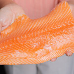A person holding an Atlantic salmon fillet