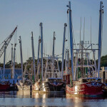 shrimping vessels