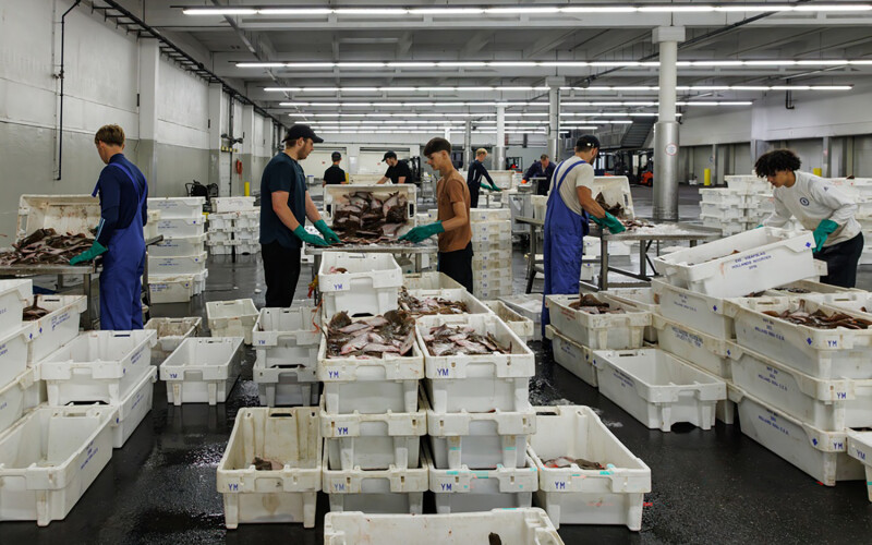 A Dutch seafood distribution warehouse