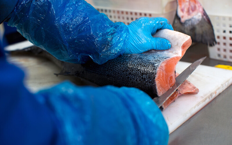 A person processing a salmon