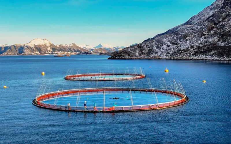 A pair of Norcod net pens in Norway