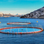 A pair of Norcod net pens in Norway