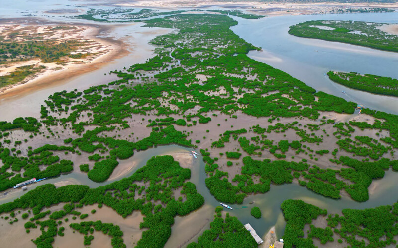 The Saloum Delta of Senegal