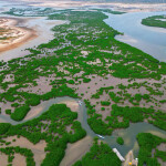 The Saloum Delta of Senegal