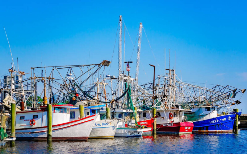 shrimping vessels in Florida