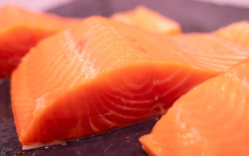 salmon