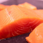 salmon