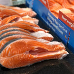 Norwegian trout for sale in Malaysia