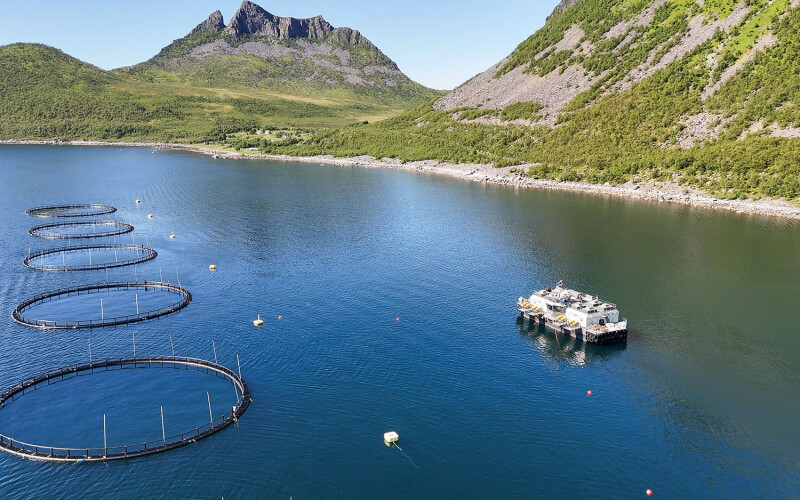Fjord in Norway