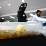 Lobster seed being held at Indonesian customs