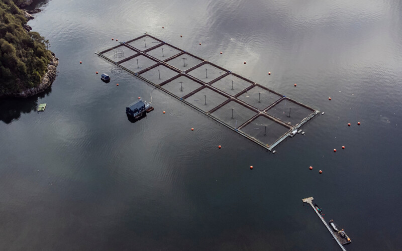 A Chilean salmon farm