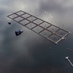 A Chilean salmon farm