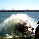A Heartland Catfish farm