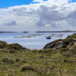 Norwegian salmon farm