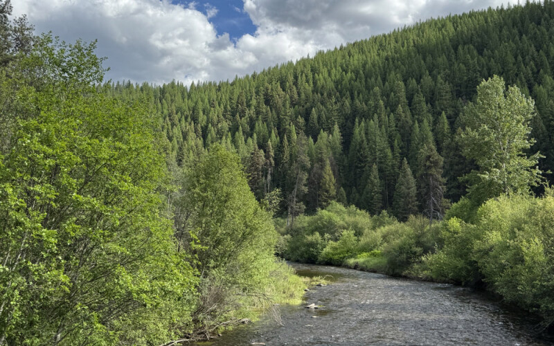 Lolo Creek