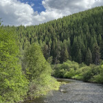 Lolo Creek