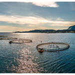 Net pens