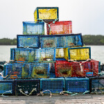Lobster traps in Dartmouth, Nova Scotia, Canada