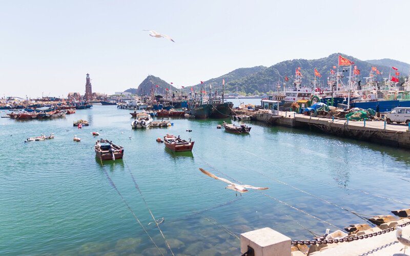 A fishing port in Dalian, China