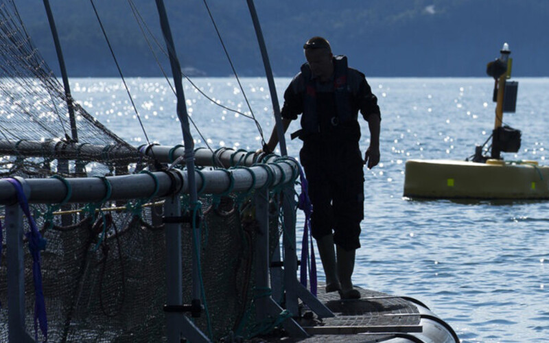 A man standing on an aquaculture net pen in Norway