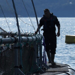 A man standing on an aquaculture net pen in Norway