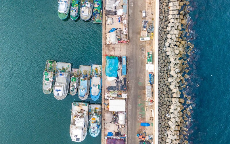 Boats in harbor