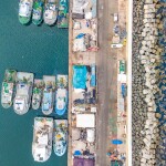 Boats in harbor