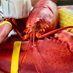 A cooked Maine lobster dinner
