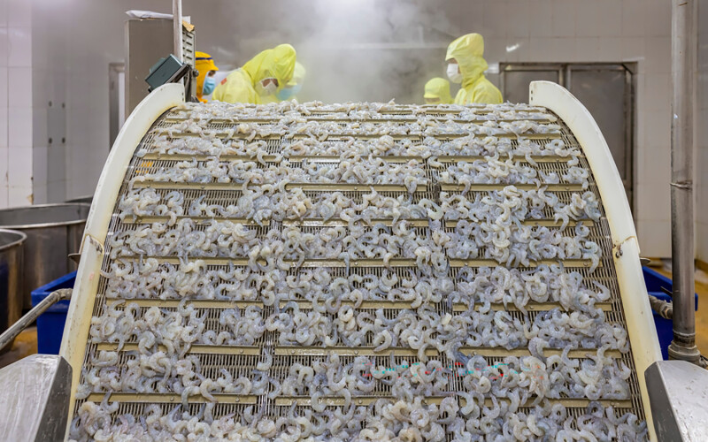 A shrimp processing facility in Vietnam