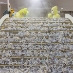 A shrimp processing facility in Vietnam