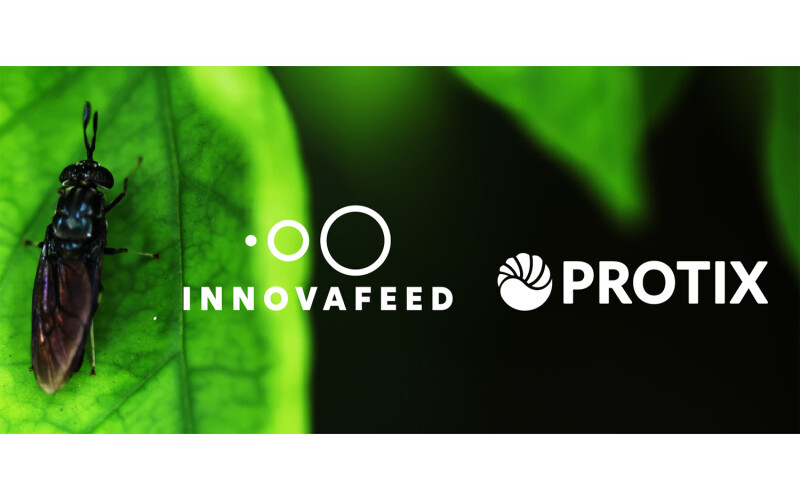 Innovafeed and Protix