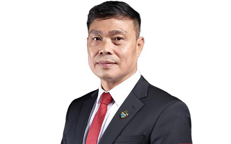 Viet Uc CEO Ton That De