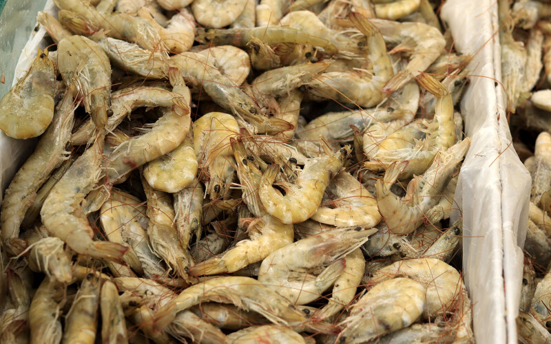 shrimp from Ecuador