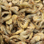 shrimp from Ecuador
