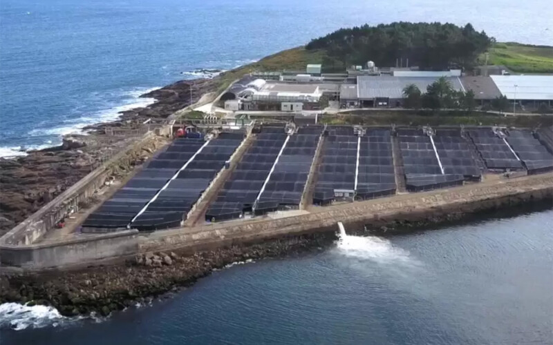 An aerial view of Stolt Sea Farm's facility in Spain