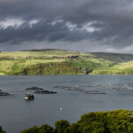 A salmon farm in Scotland