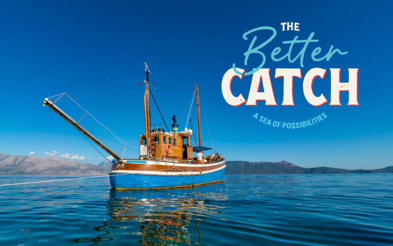 The Better Catch Program