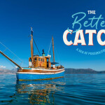 The Better Catch Program